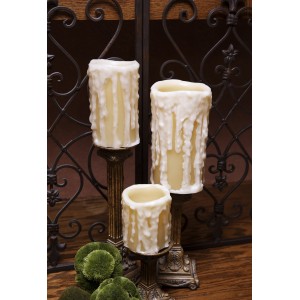 World Menagerie Flameless 3 Piece Pillar Candle Set with Remote WRMG3009